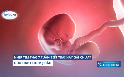 Nhịp tim thai 7 tuần biết trai hay gái chưa? Giải đáp cho mẹ